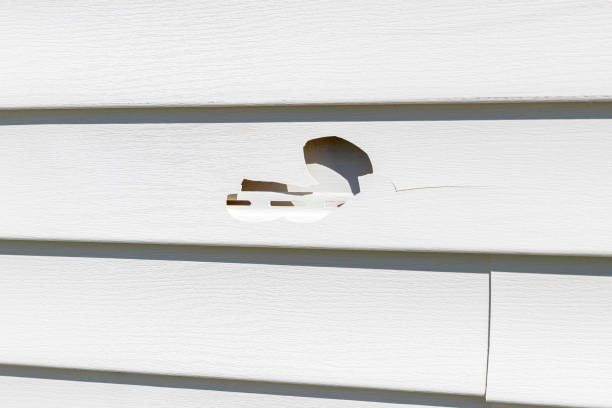 Affordable siding repair and maintenance services in Fort Morgan, CO